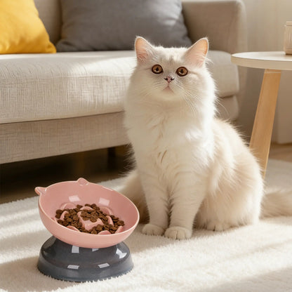 Ceramic Slow Feeder Cat Bowl, Raised Tilted Cat Food Bowl for Fast Eaters, Whisker Friendly Elevated Bowl, Dishwasher Safe for Dry & Wet Food